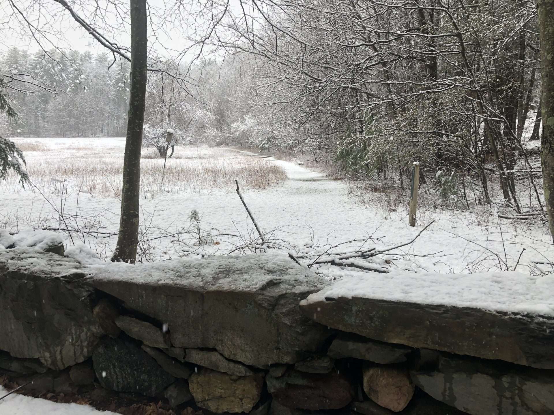 snow south natick