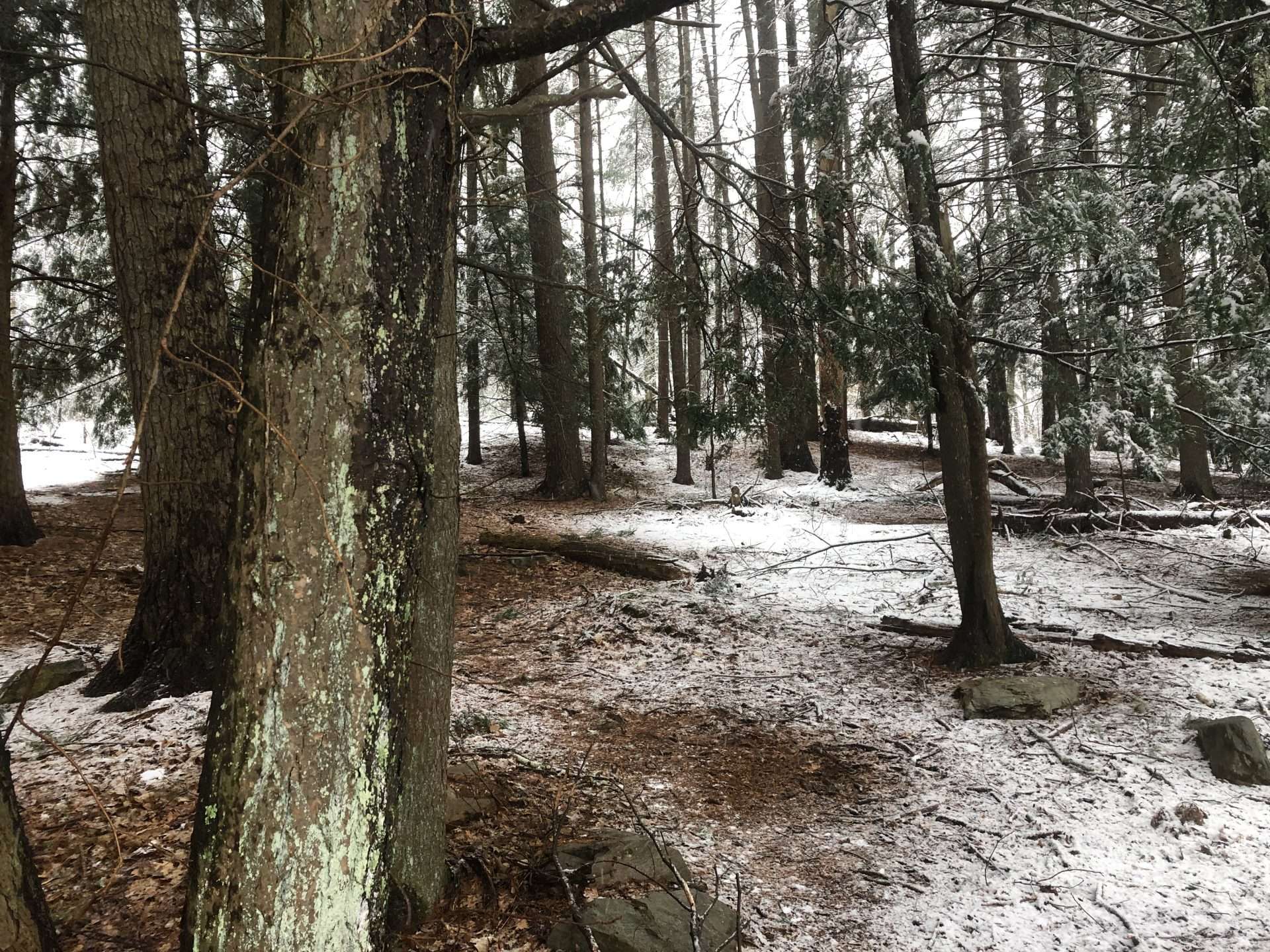 snow south natick