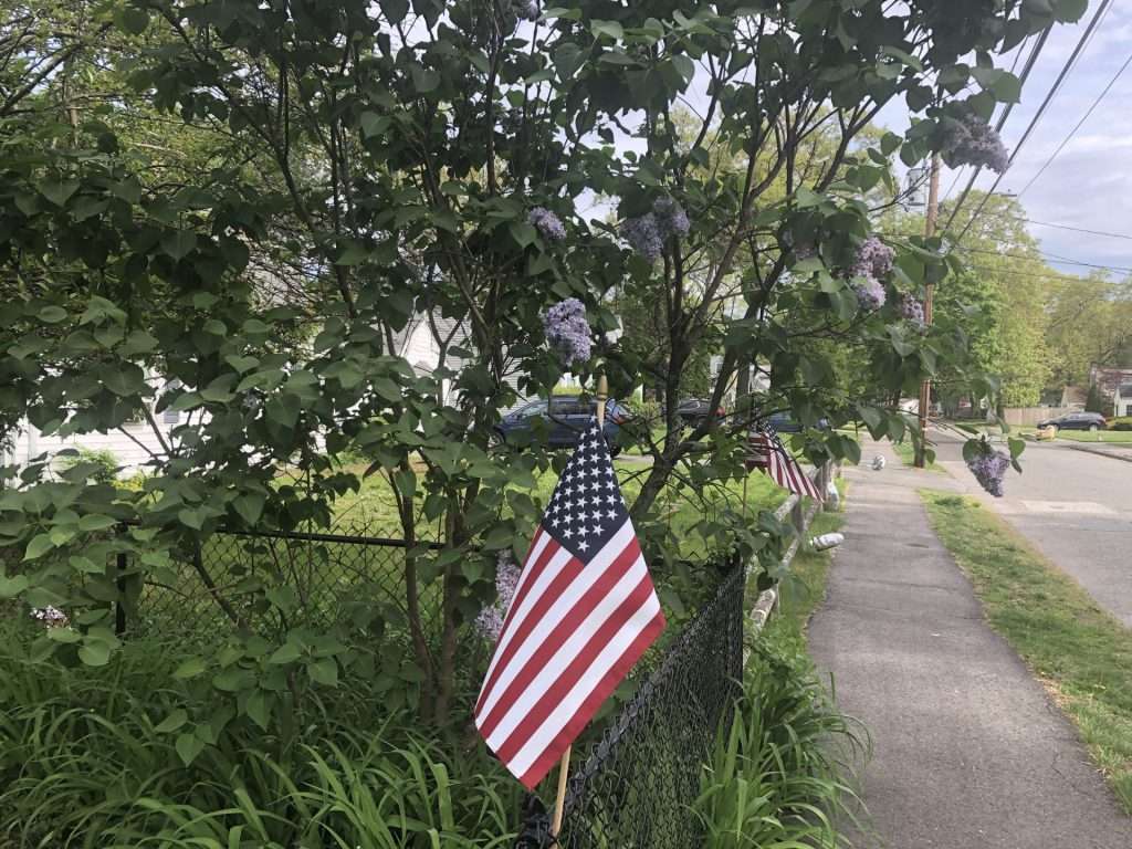 flags yard east school neighborhood