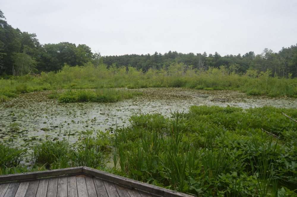 Broadmoor wildlife sanctuary