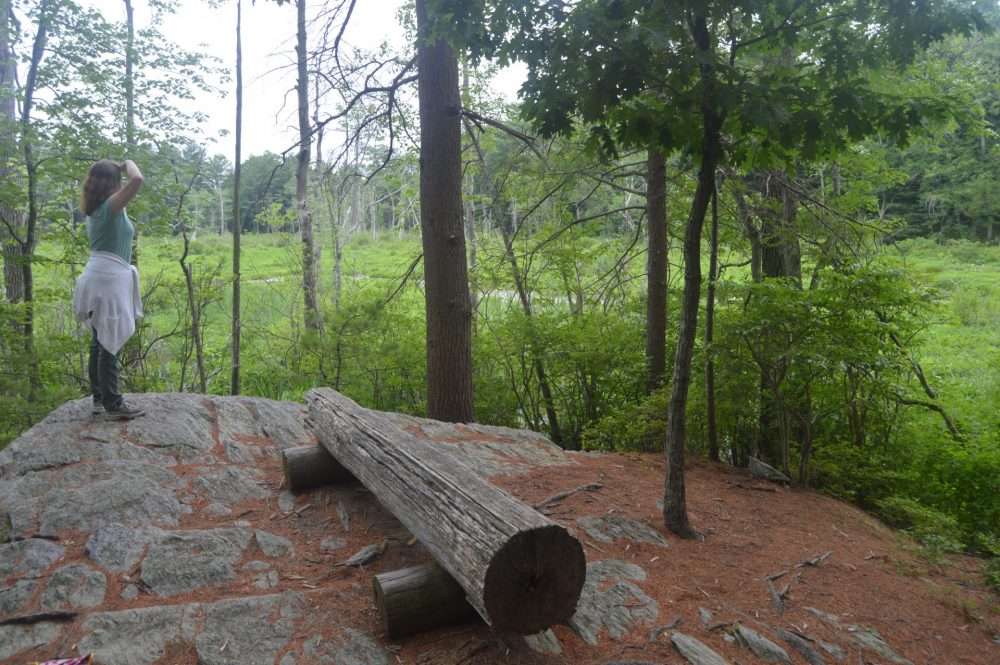 Broadmoor wildlife sanctuary