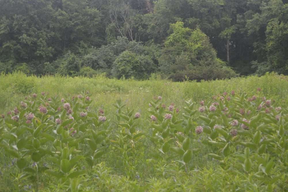 Broadmoor wildlife sanctuary