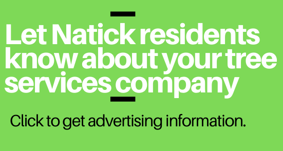 natick report ad