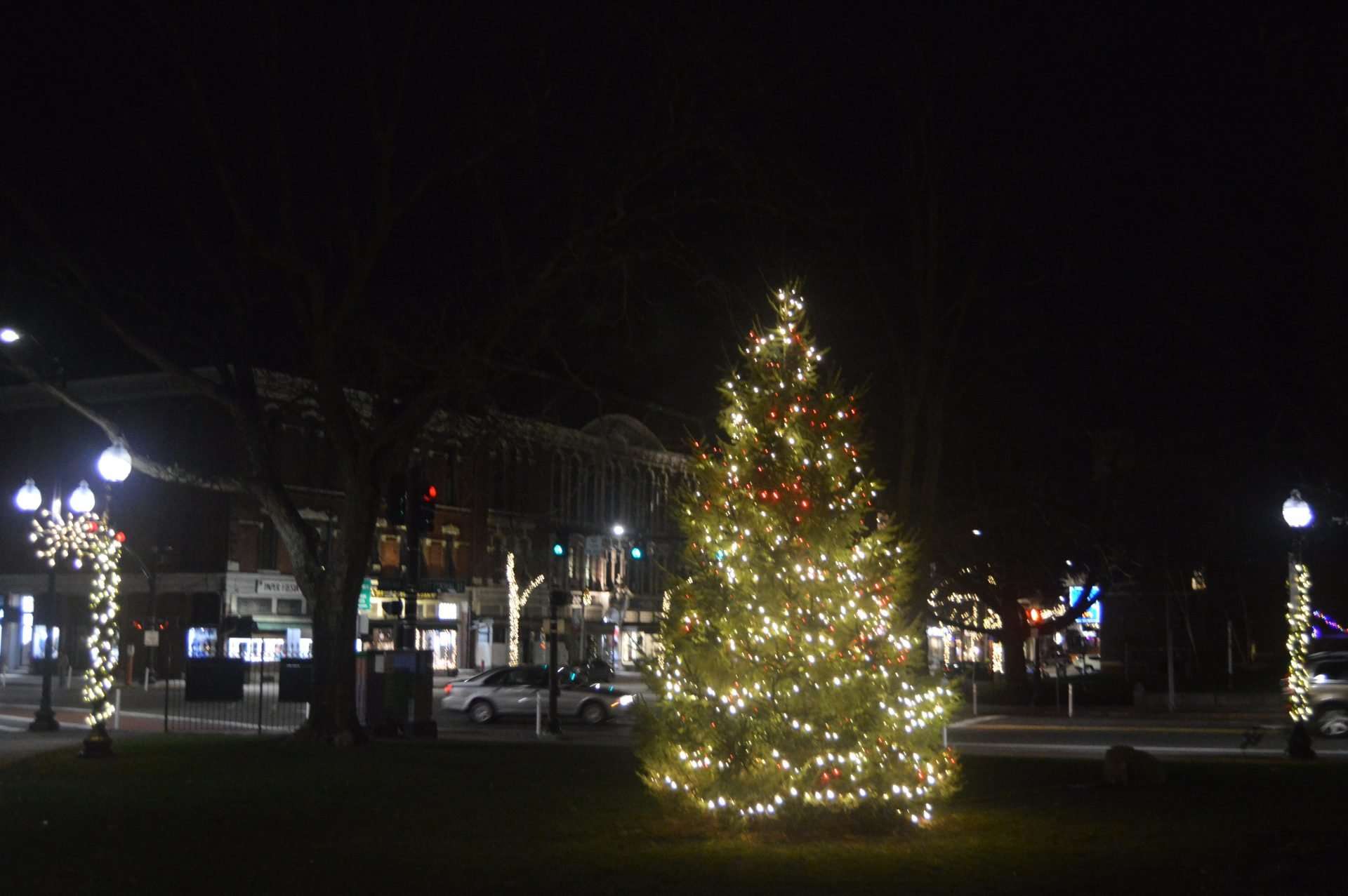 2020 natick common tree lighting