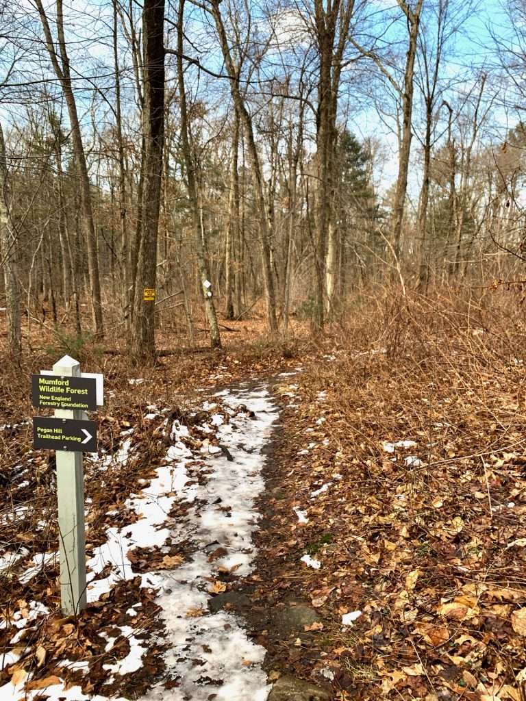 Pegan Hill, Natick
