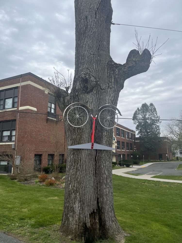 coolidge tree bike face art