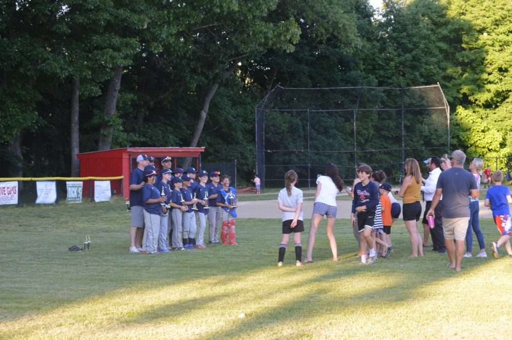 natick little league champs tigers
