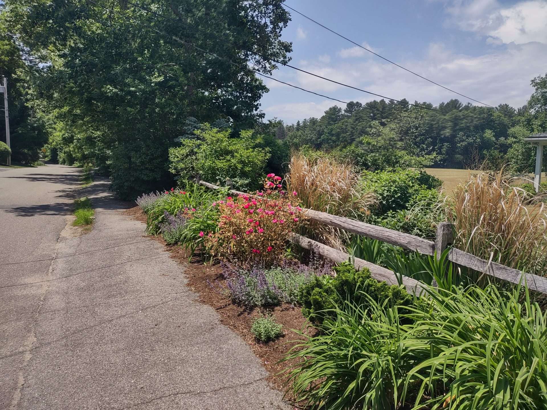 Glenwood Street Scenic Road