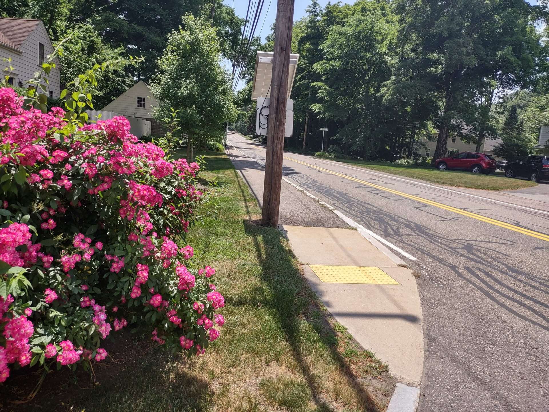 Glen Street Scenic Roads Natick