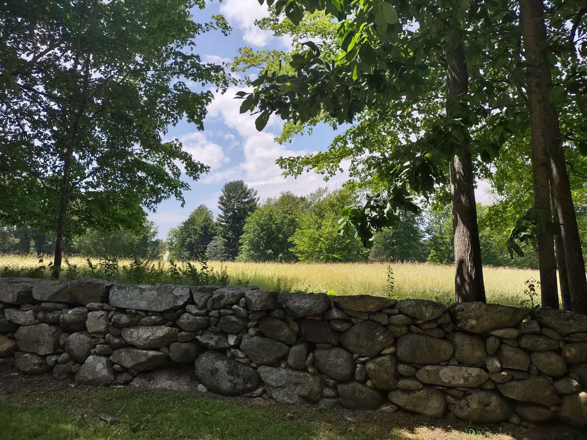 Glen Street Scenic Roads Natick