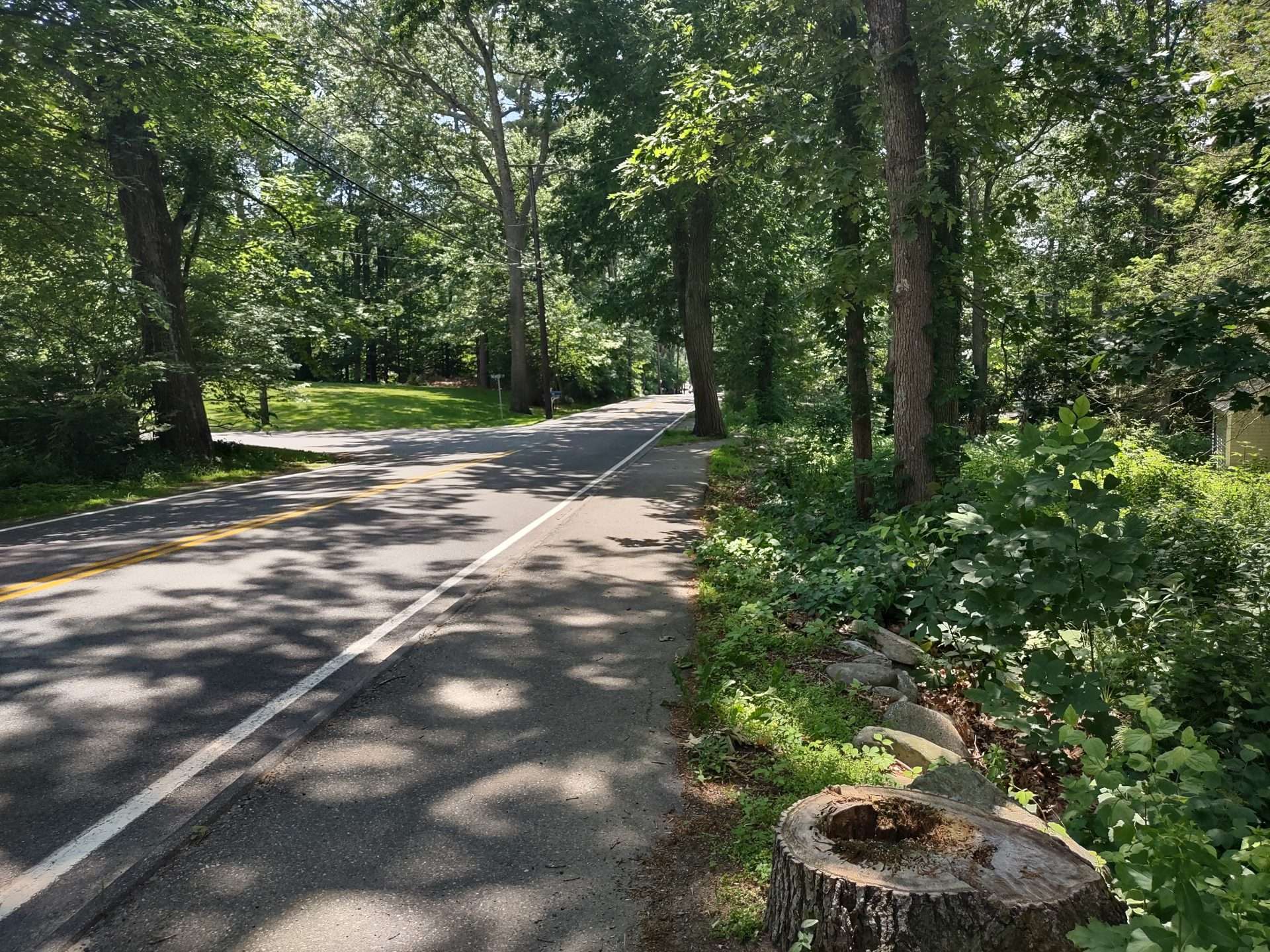 Glen Street Scenic Roads Natick