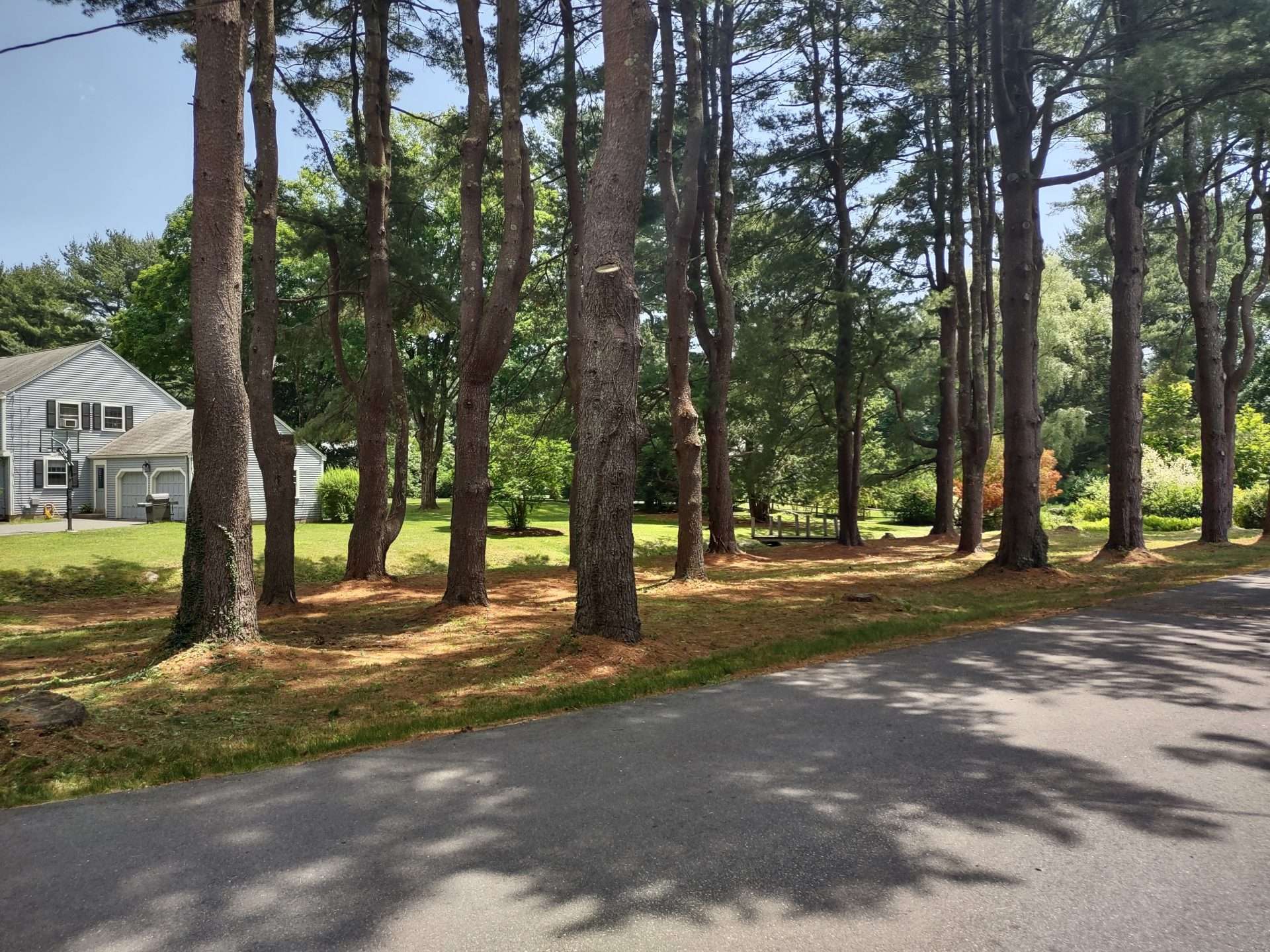Dover Road Scenic Road natick
