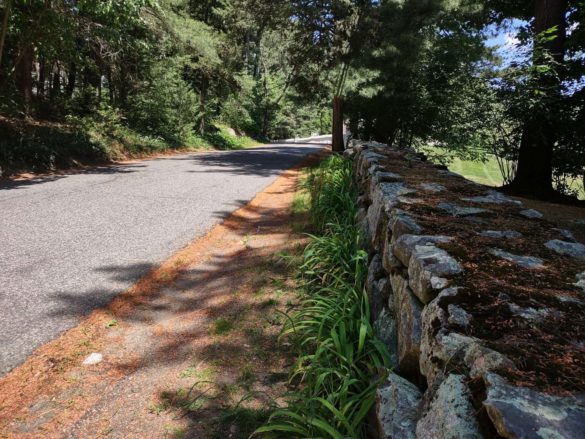 Frost Street Scenic Roads Natick