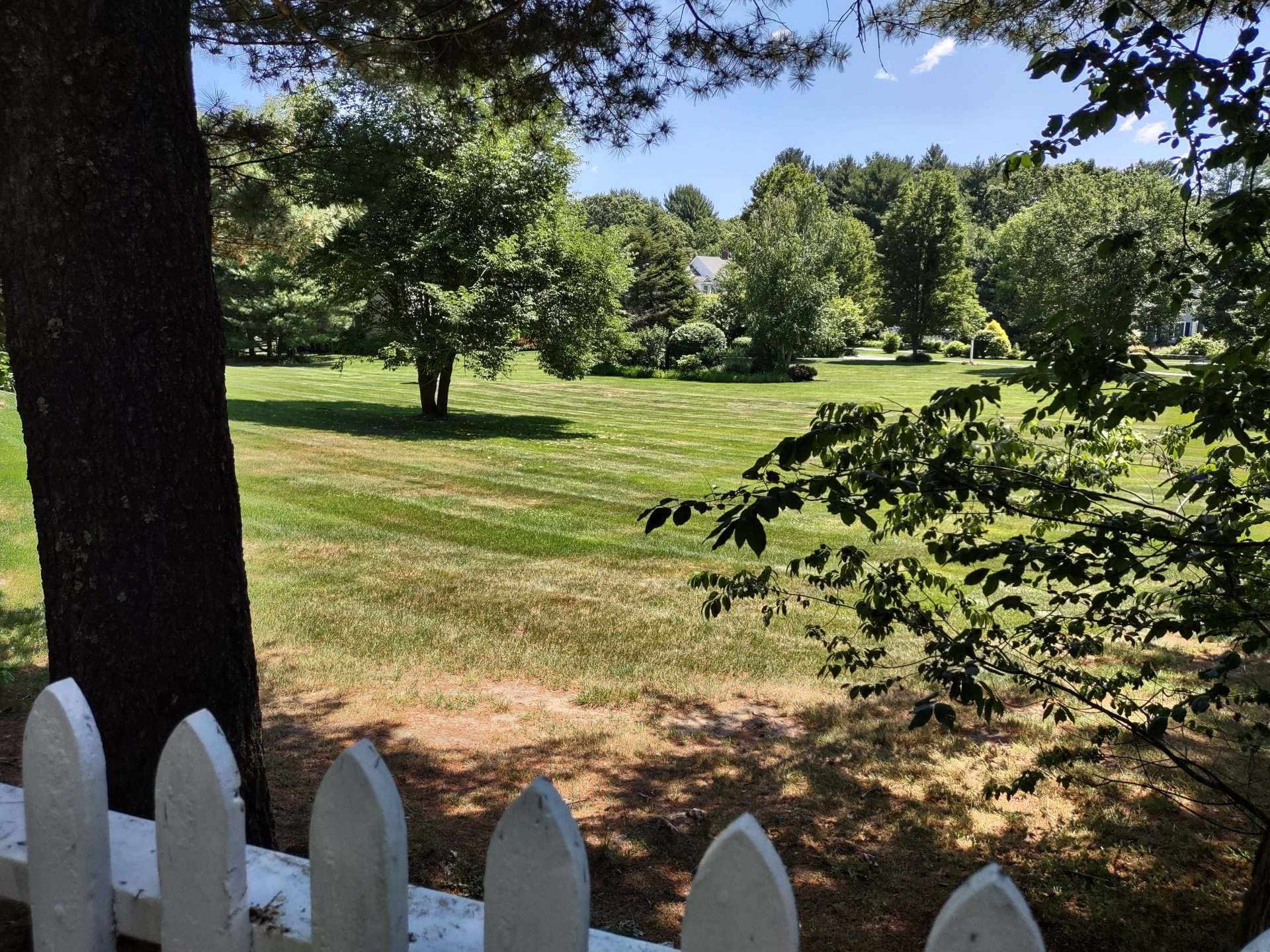 Frost Street Scenic Roads Natick