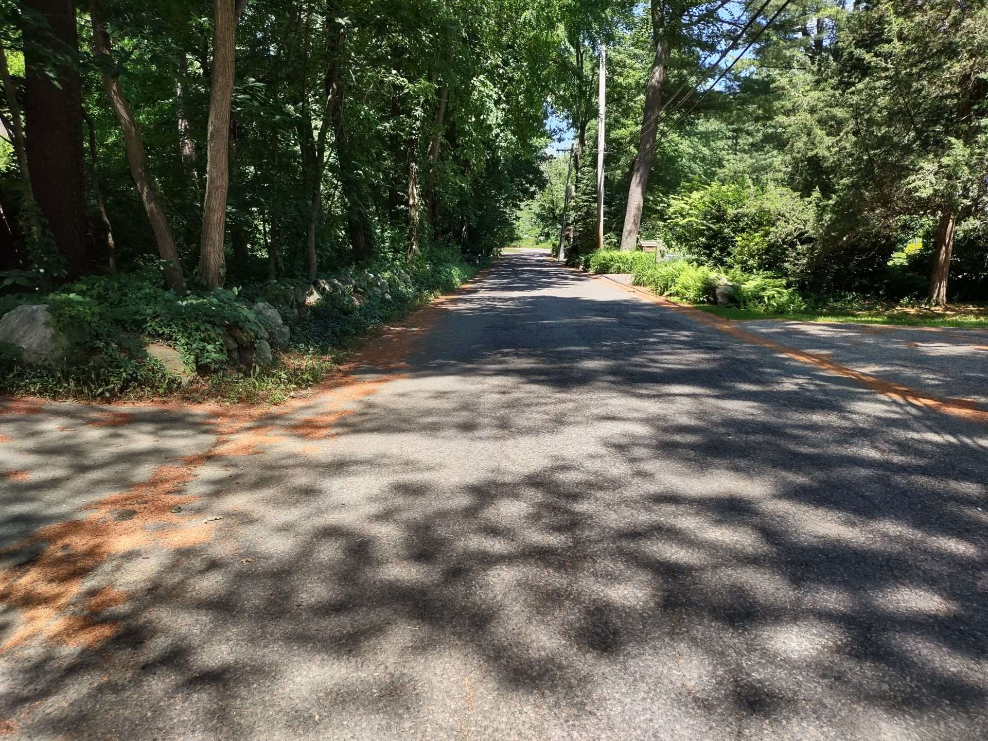 Frost Street Scenic Roads Natick
