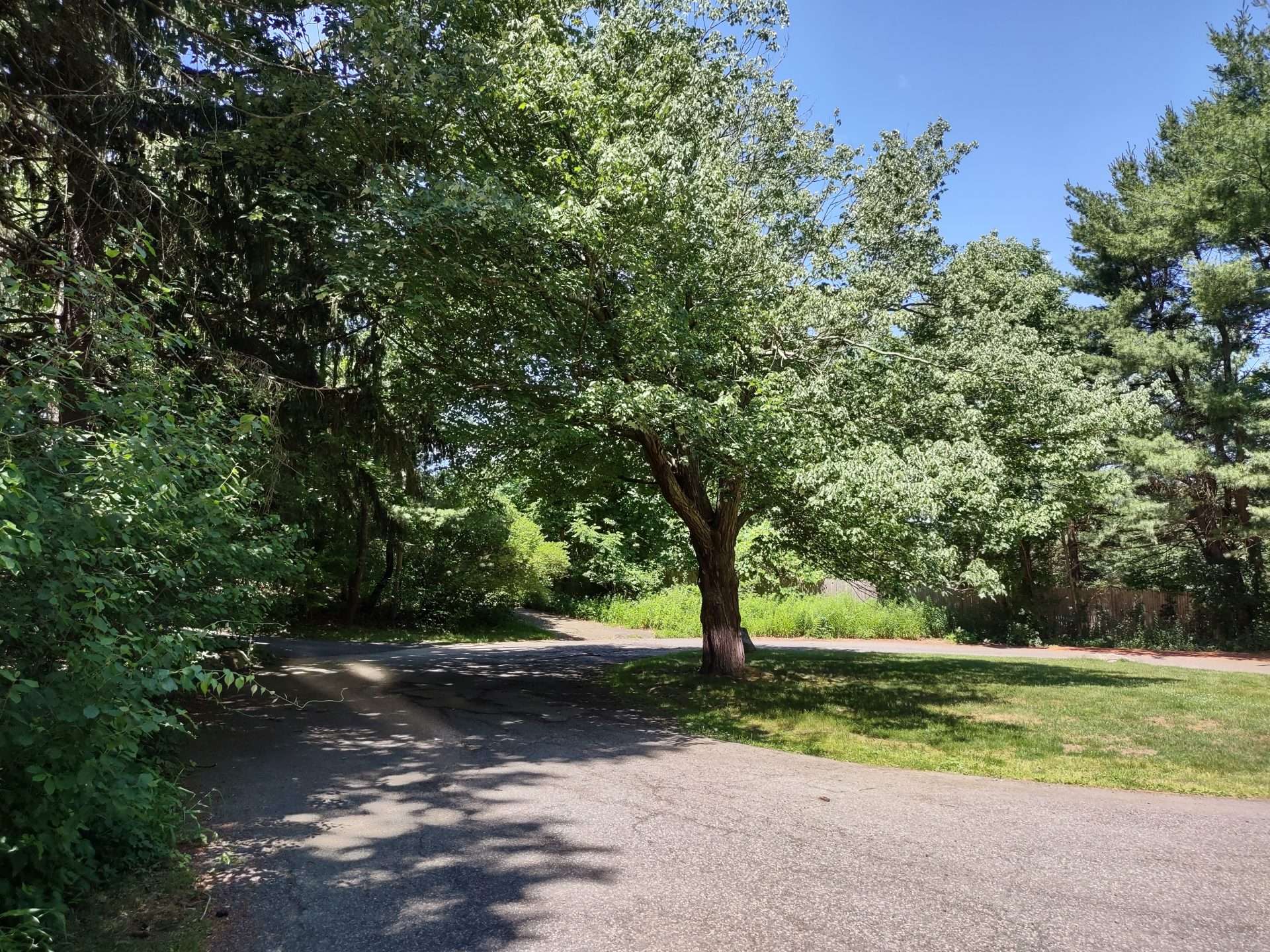 Frost Street Scenic Roads Natick