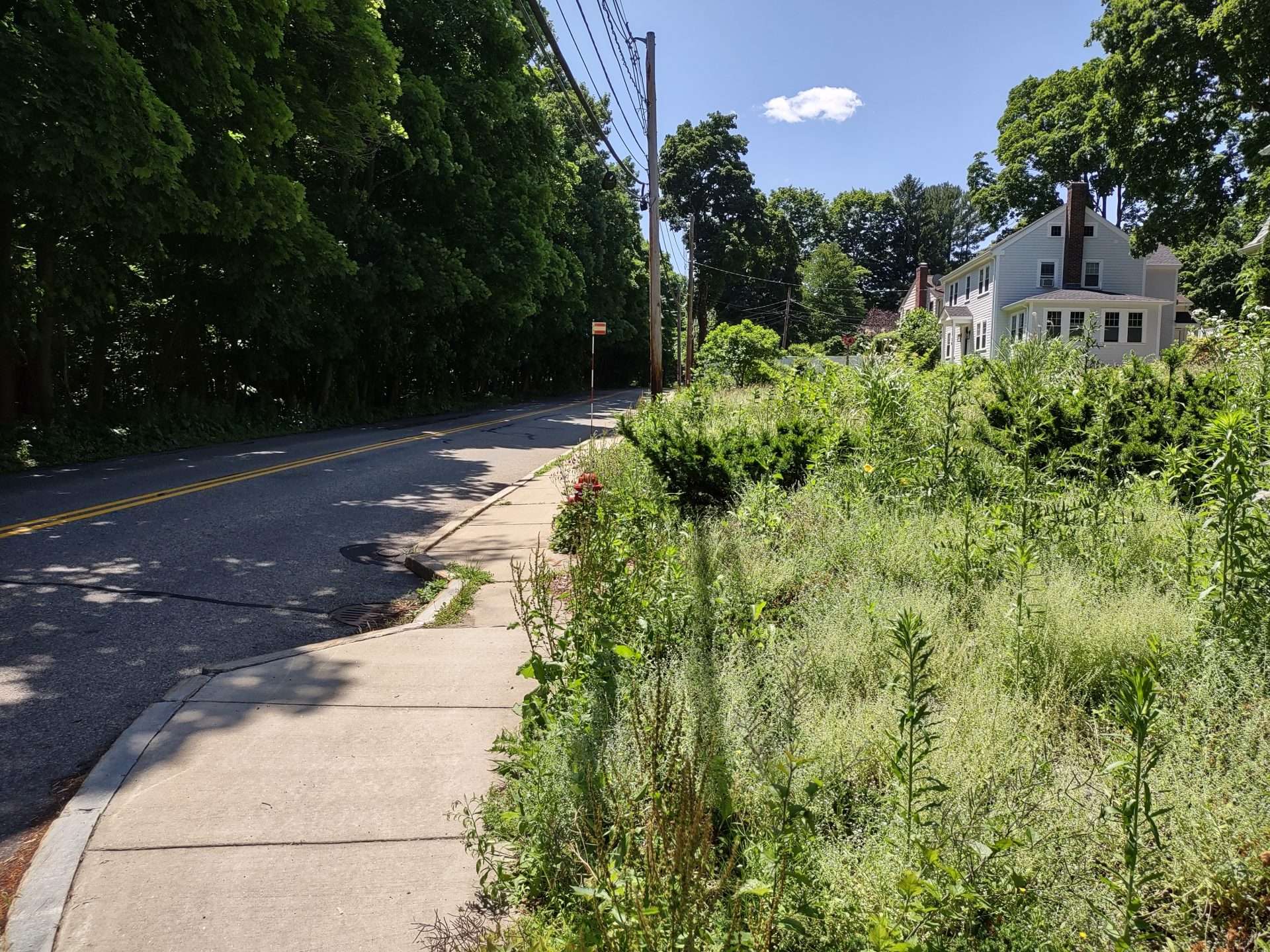 Walnut Street Scenic Road Natick