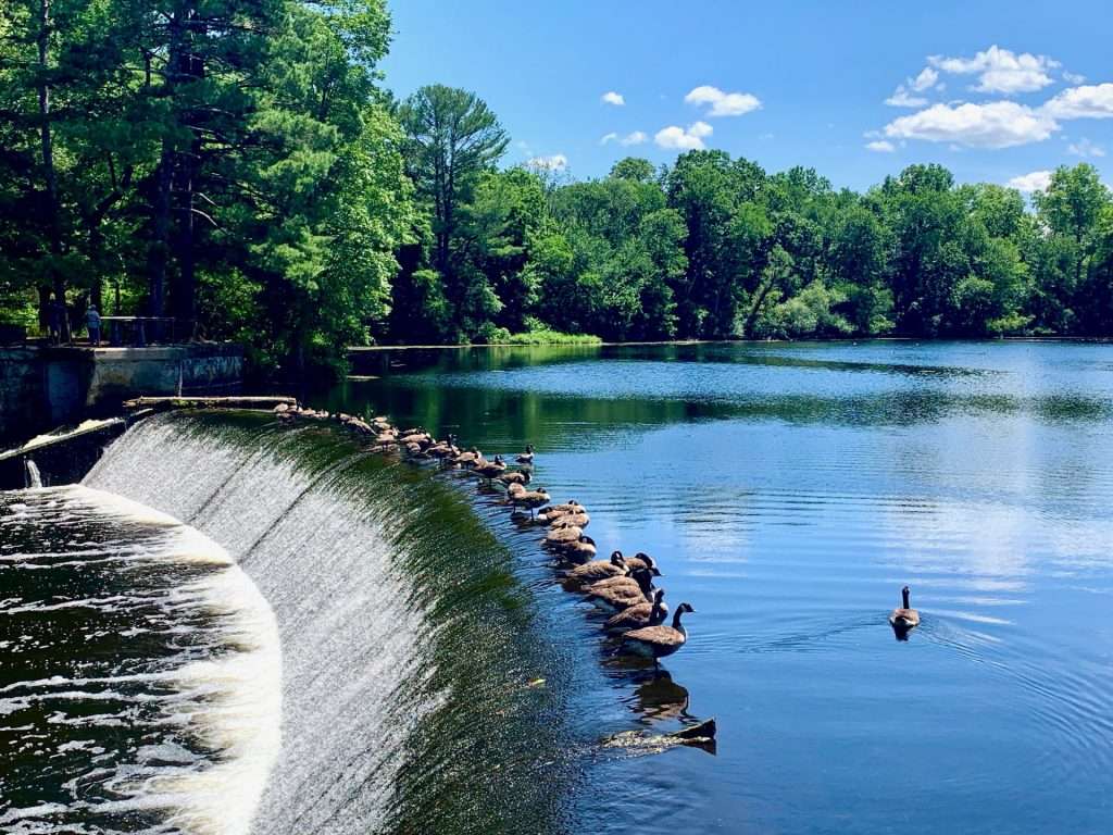 South Natick Dam