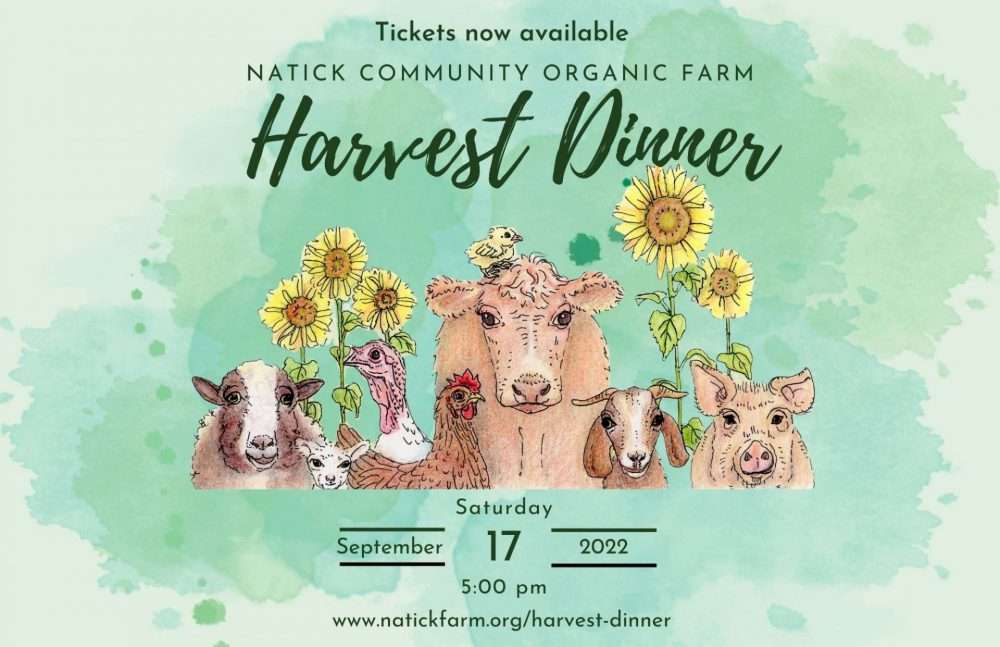 Natick Community Organic Farm