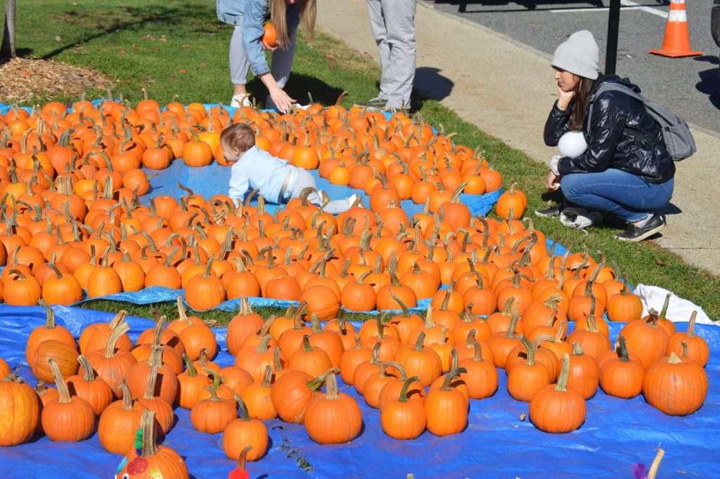 natick spooktacular common halloween