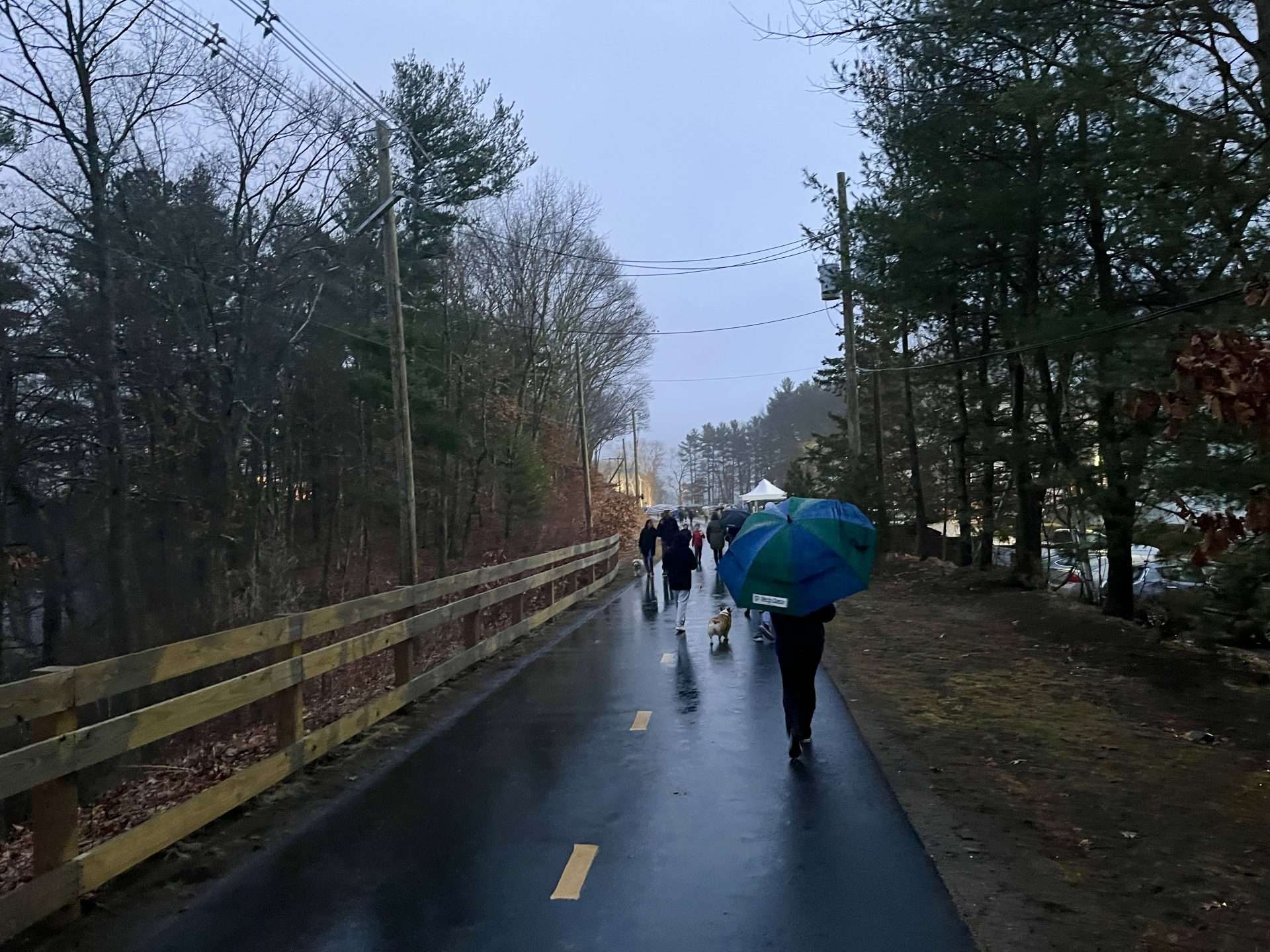 new years rail trail
