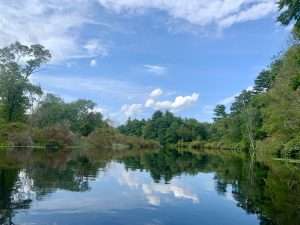 Charles River, Medfield to South Natick, kayak