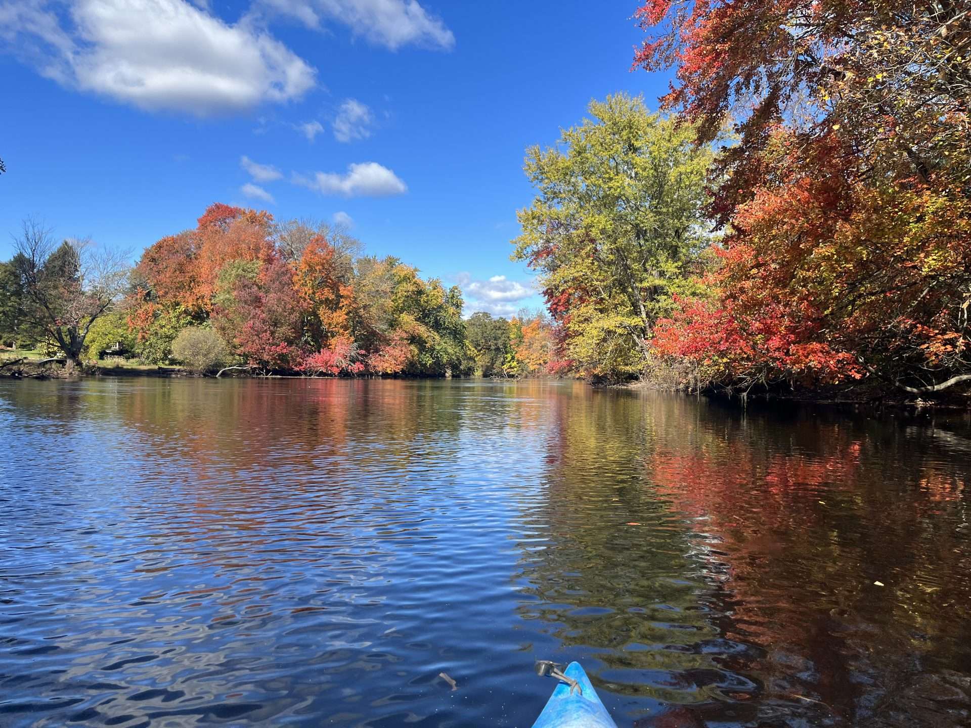 foliage charles river natick foliage charles river natick