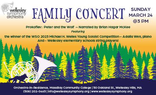 Wellesley Symphony Orchestra
