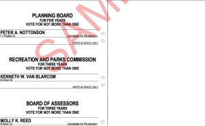 natick sample ballot