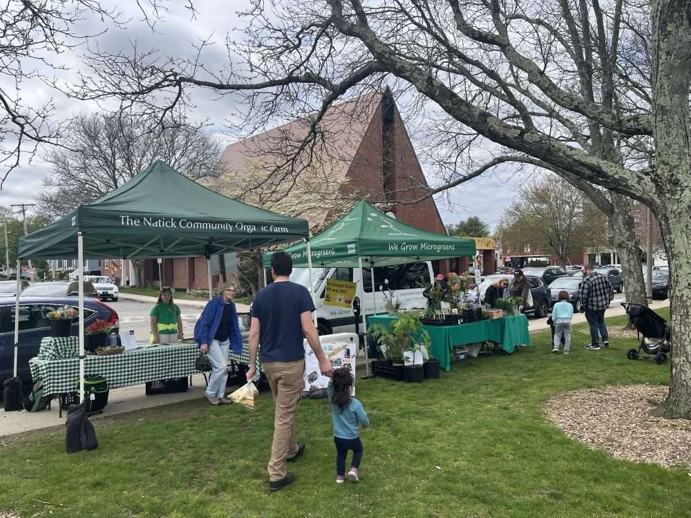 Farmers Market opening day