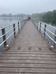 Williams Lake trail, Marlborough