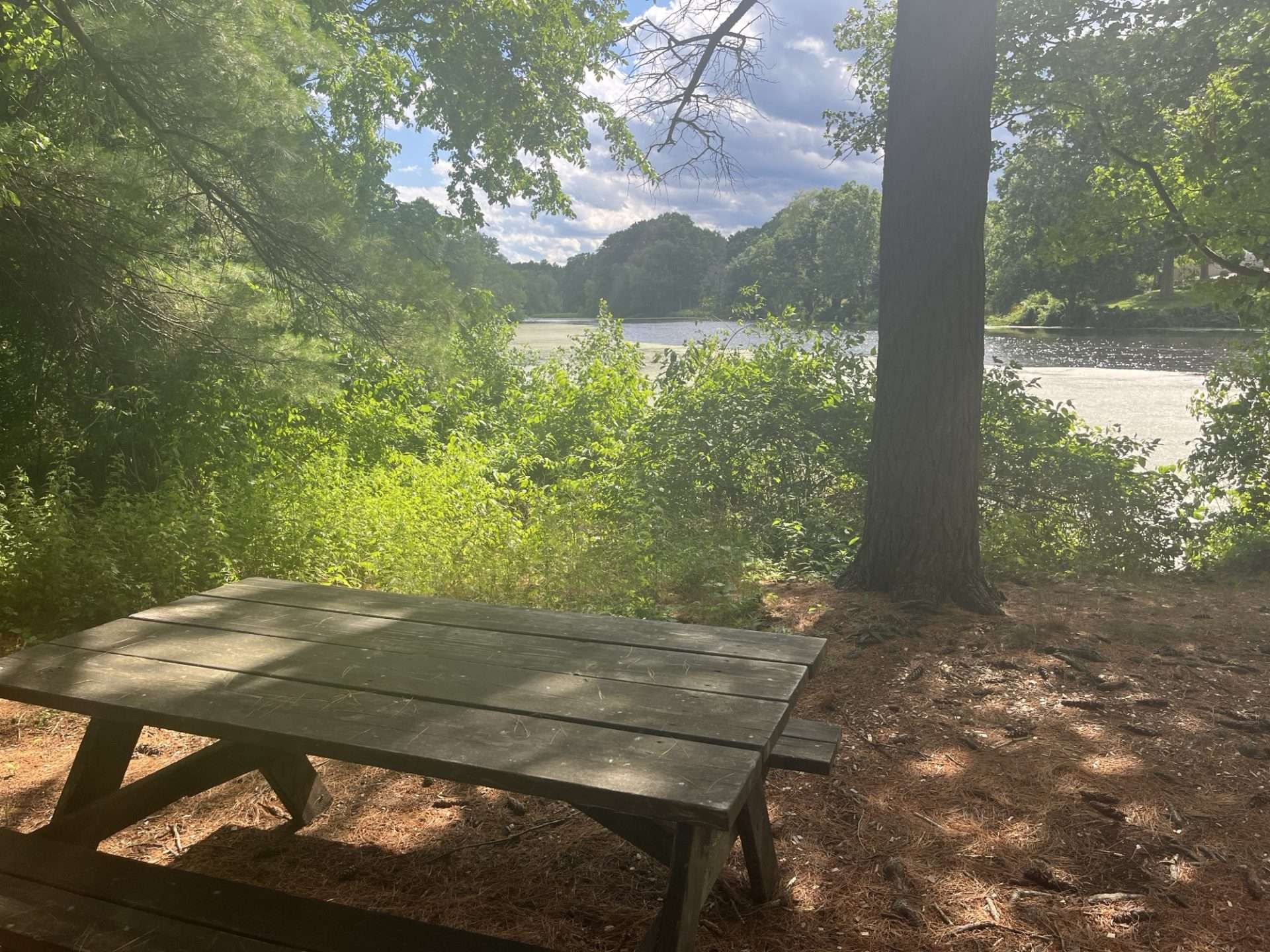 grove park picnic table near dam