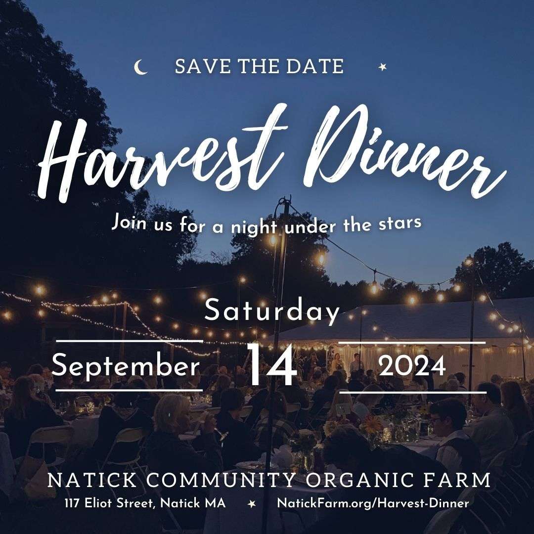 Natick Community Organic Farm