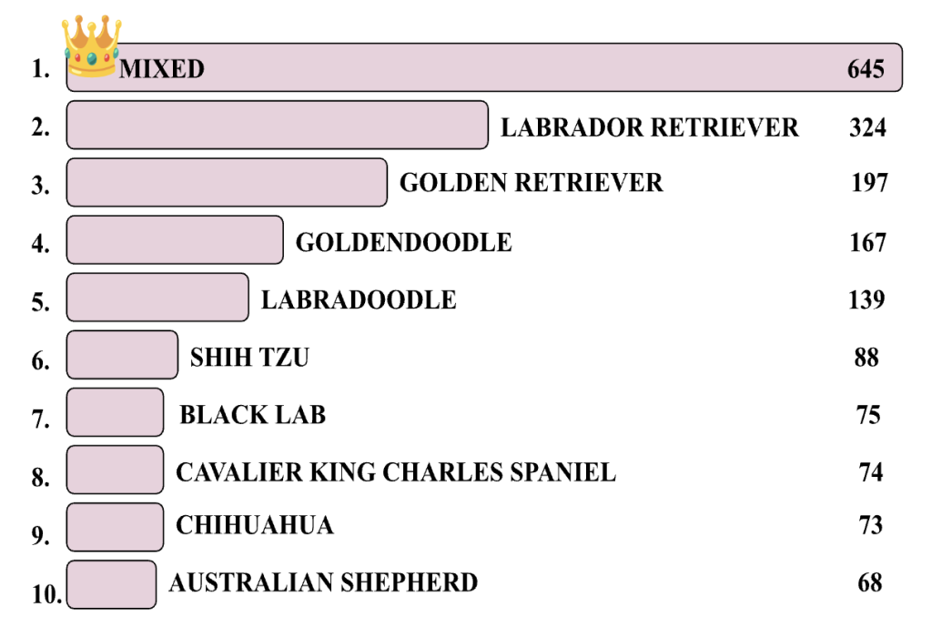 2024 natick dog breeds