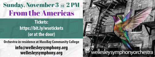 Wellesley Symphony Orchestra, Nov. concert