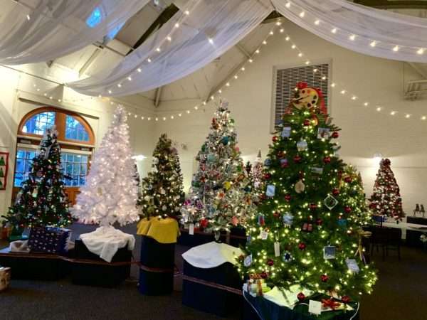 MassHort, Festival of Trees