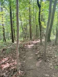Hunnewell forest bike trail