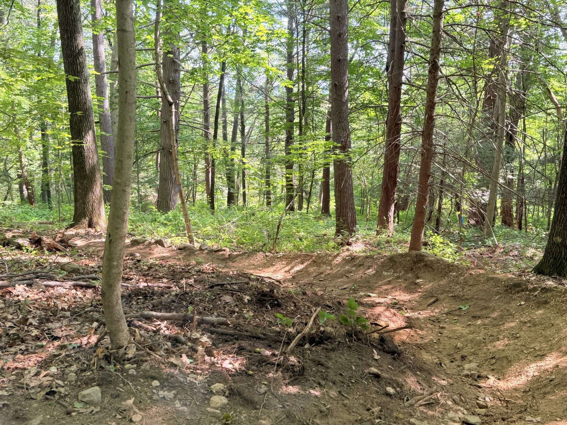 Hunnewell forest bike trail