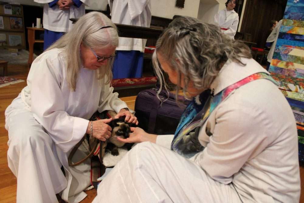 St. Paul’s Episcopal Church observed the Feast of St. Francis with its annual Blessing of the Animals.