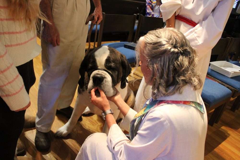 St. Paul’s Episcopal Church observed the Feast of St. Francis with its annualBlessing of the Animals.