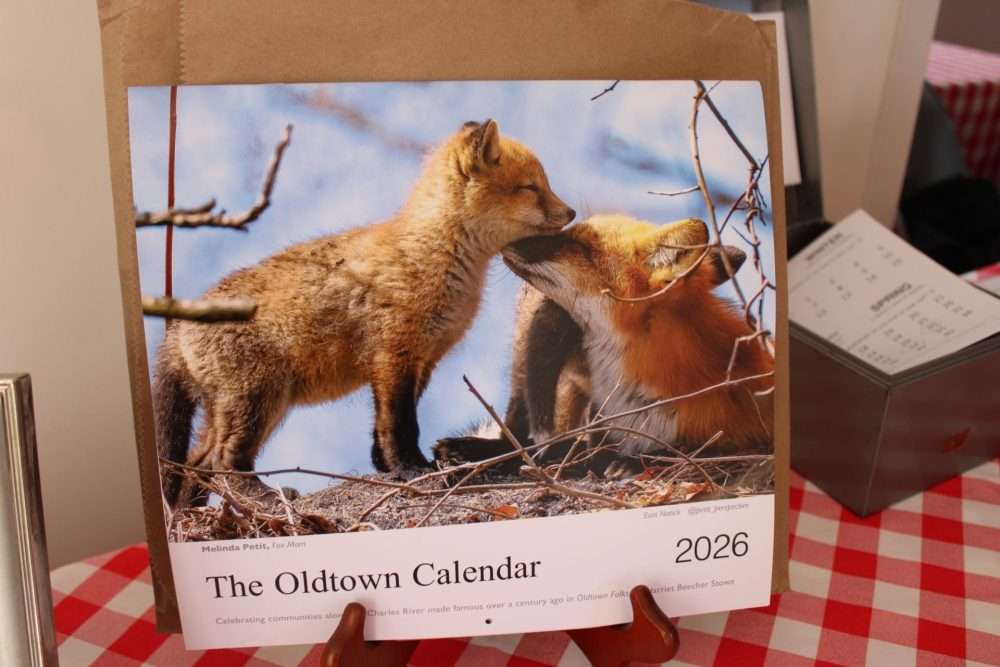 The 2026 Oldtown Photo Calendar has foxes on cover