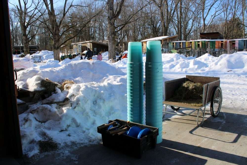 Buckets, lids and other equipment stand ready as Natick Community Organic Farm begins itsmaple sugaring season on Feb. 12.