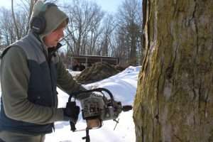 Casey Townsend, executive director of the Natick Community Organic Farm, drills into one of the farm’s sugar maple trees on the first day of tapping on Feb. 12.