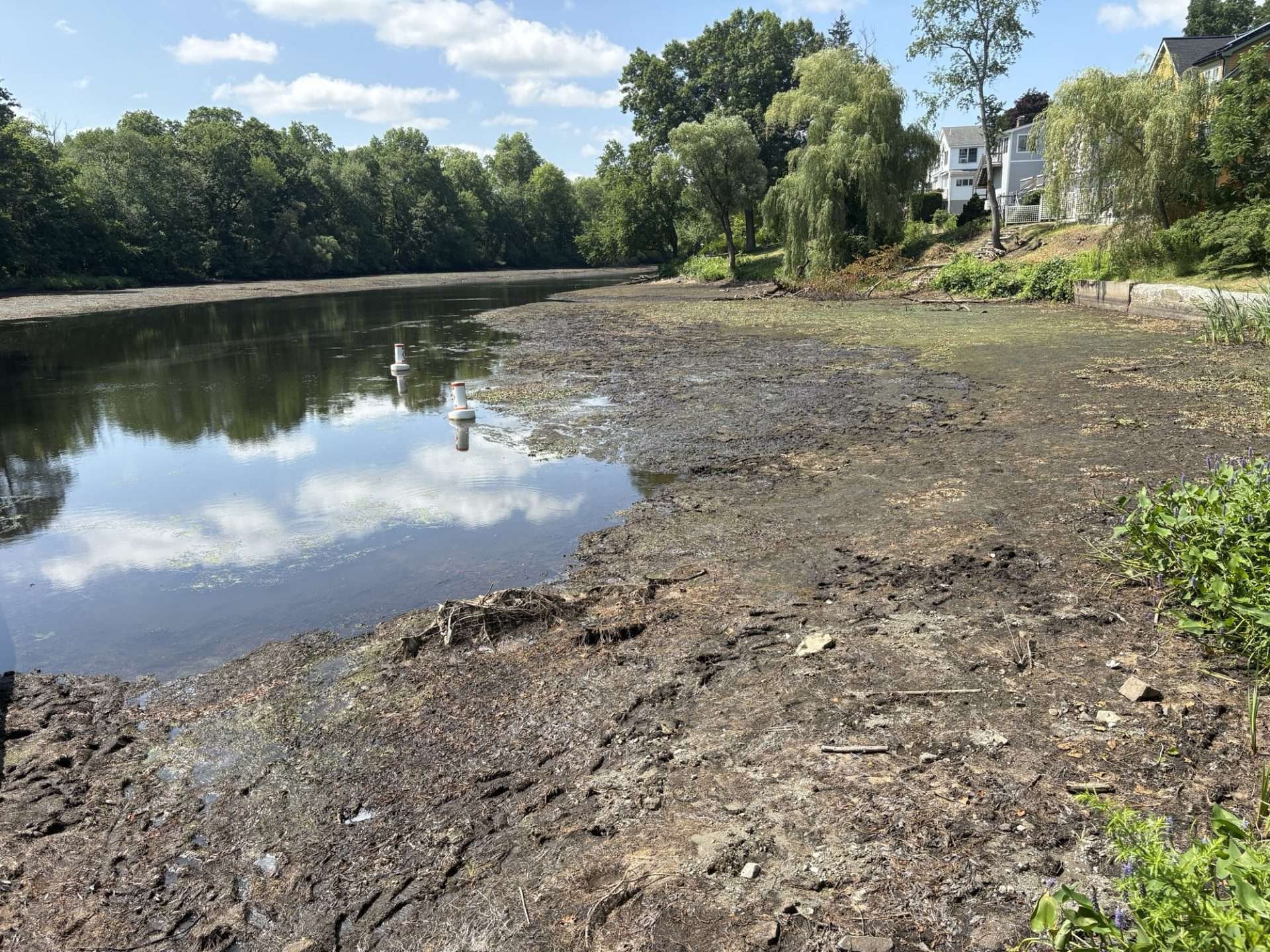 dam removal