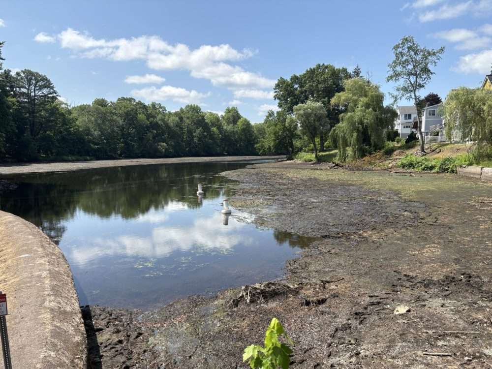 dam removal