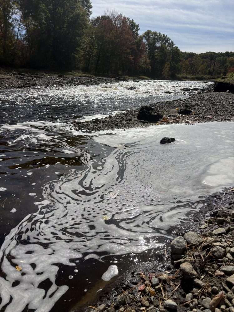 Post-spillway Charles River Kayak October 2026