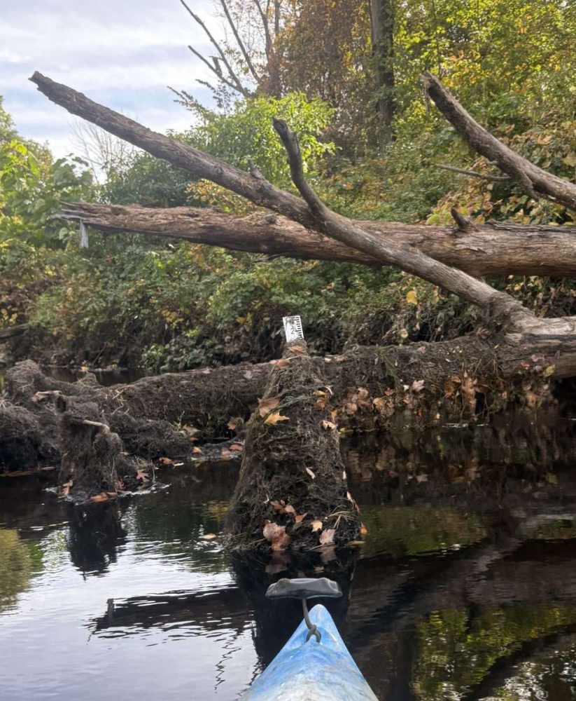 Post-spillway Charles River Kayak October 2026